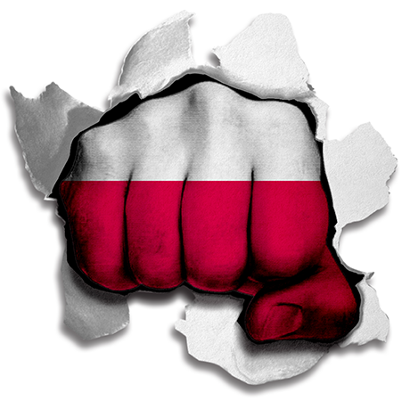 Fist Poland Flag Logo iron on paper